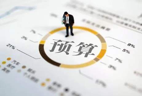 关于二〇二四年中央和地方预算执行情况与二〇二五年中央和地方预算草案的报告